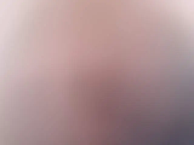 AnnLecerf image 3